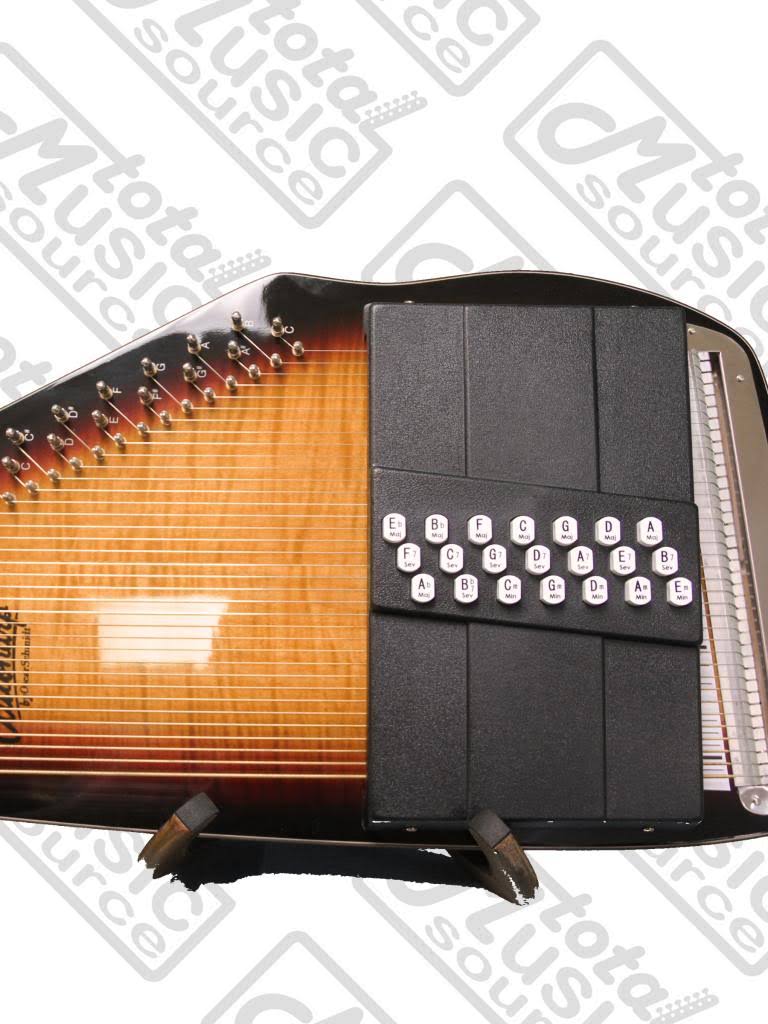 Acoustic Electric Auto Harp J44901