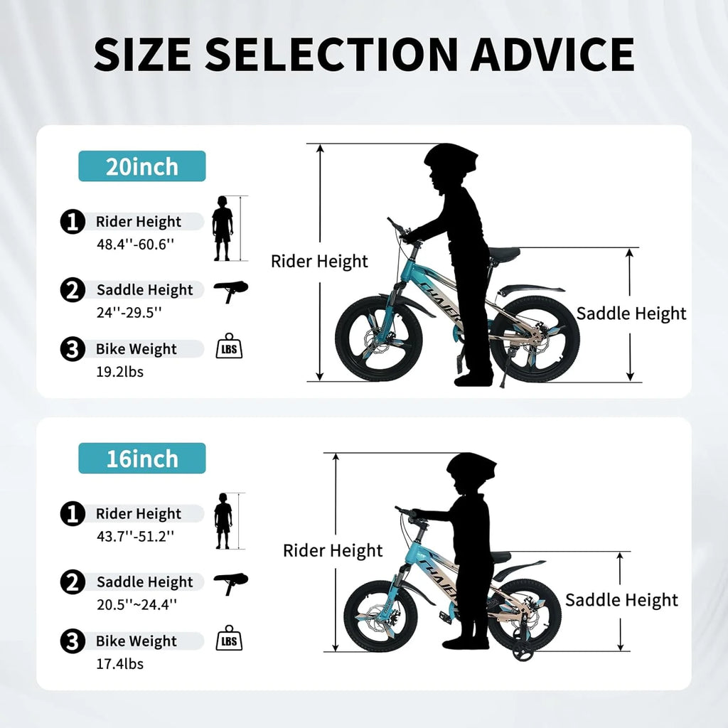 20 Kids Bike with Training Wheels, Handbrake, Kickstand U187961