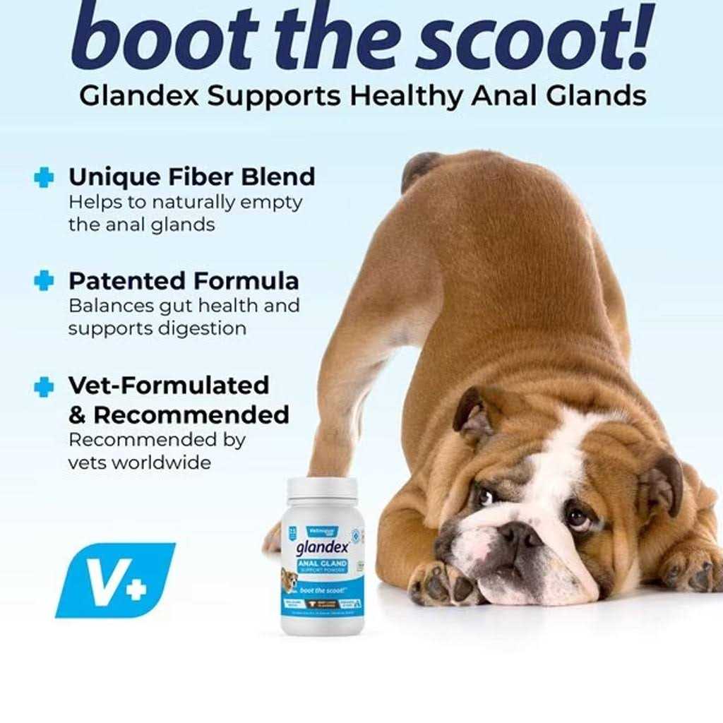 Anal Gland Support Powder for Dogs & Cats S611637