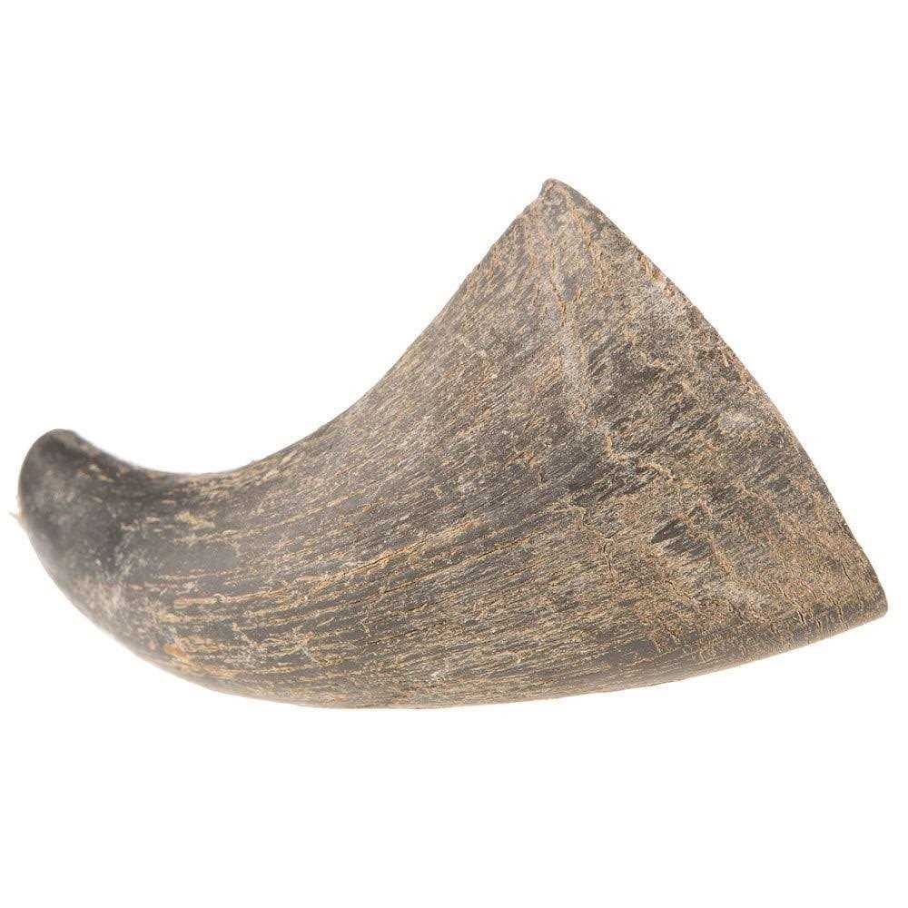 Dog Water Buffalo Horn Small Z1155