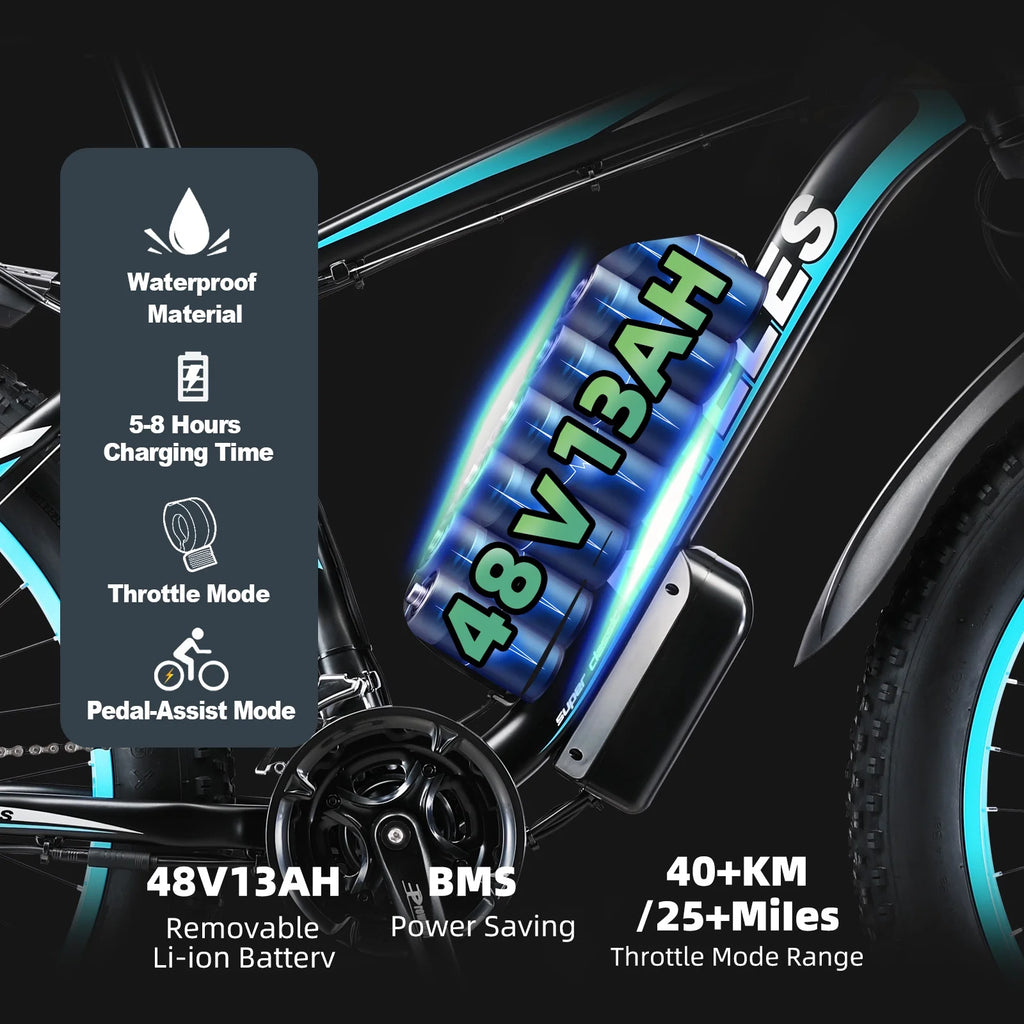 750W 48V 13AH Fat Tire Electric Bike F9749