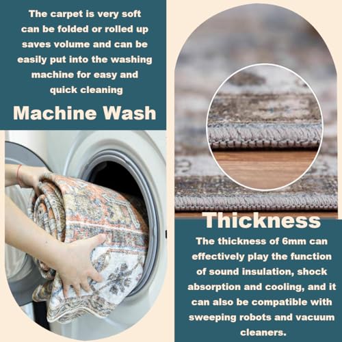 6'x9' Washable Vintage Area Rug T922