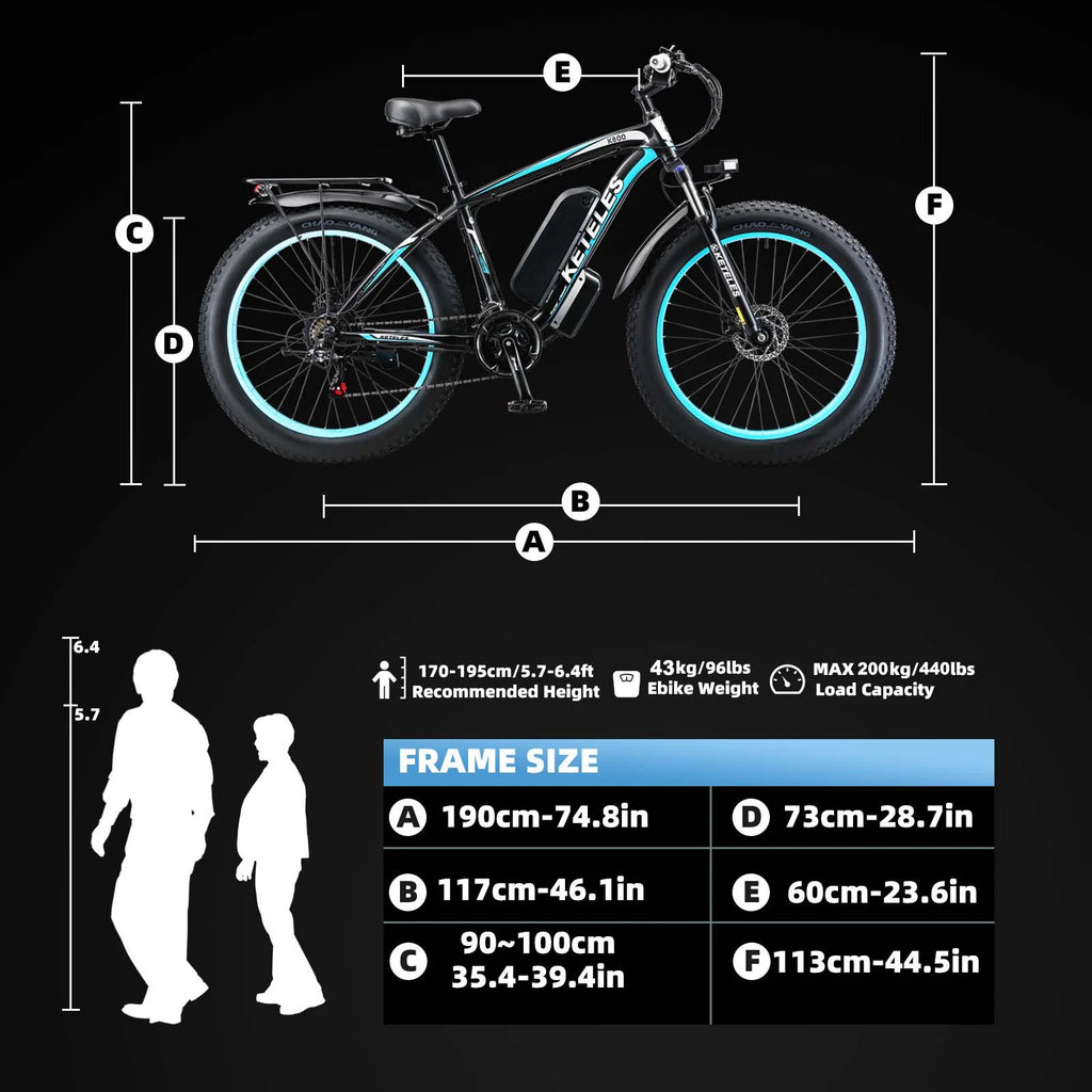 750W 48V 13AH Fat Tire Electric Bike F9749