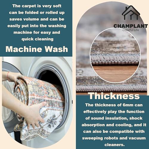 6'x9' Washable Vintage Area Rug T922