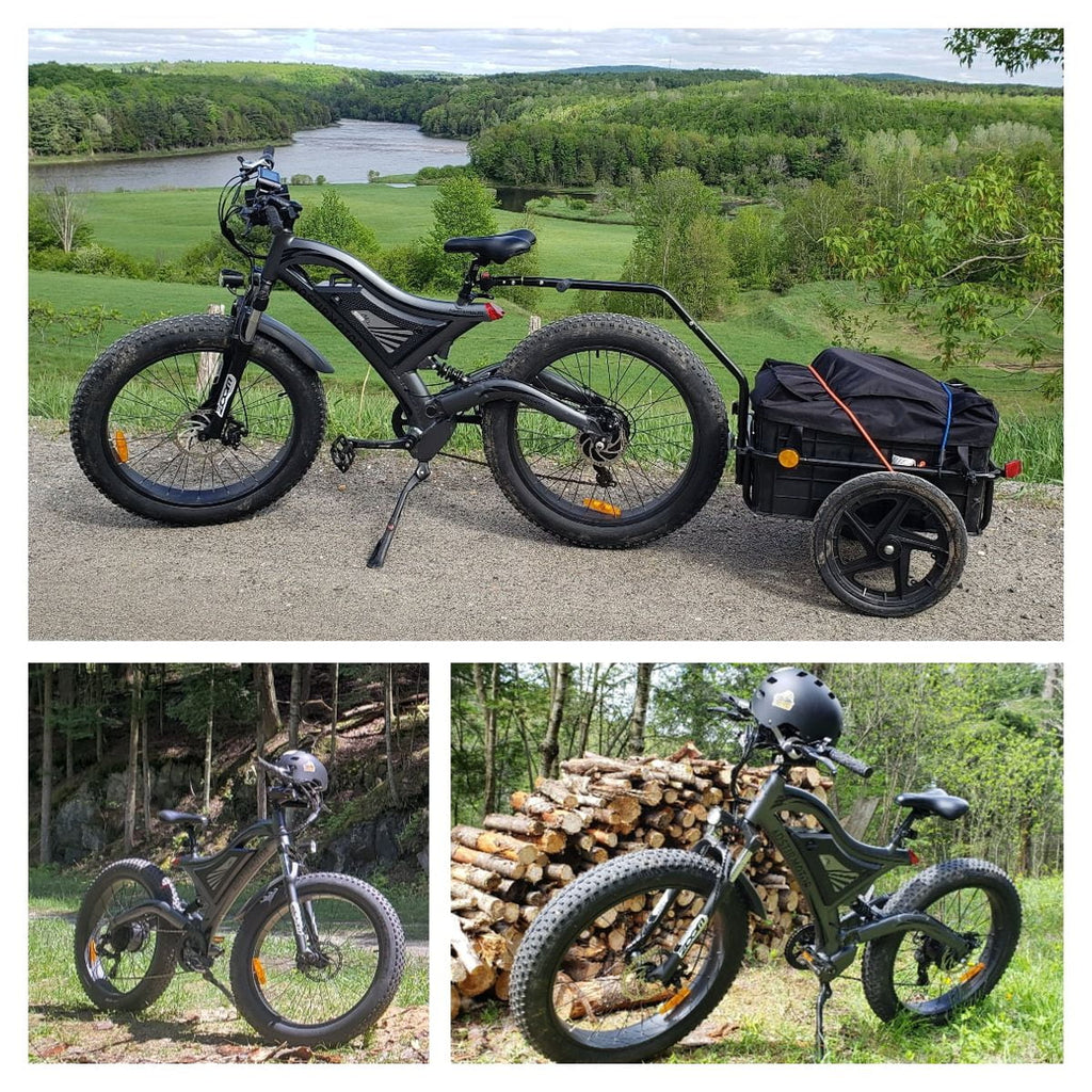 750W 48V 15Ah Fat Tire Electric Mountain Bike G3494