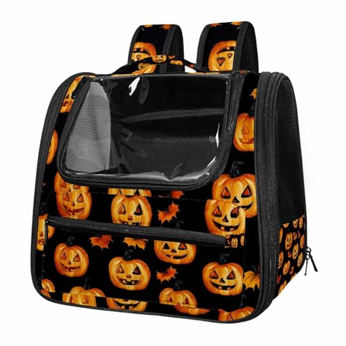 Soft Sided Pet Carrier for Small Medium Cats Dogs N128