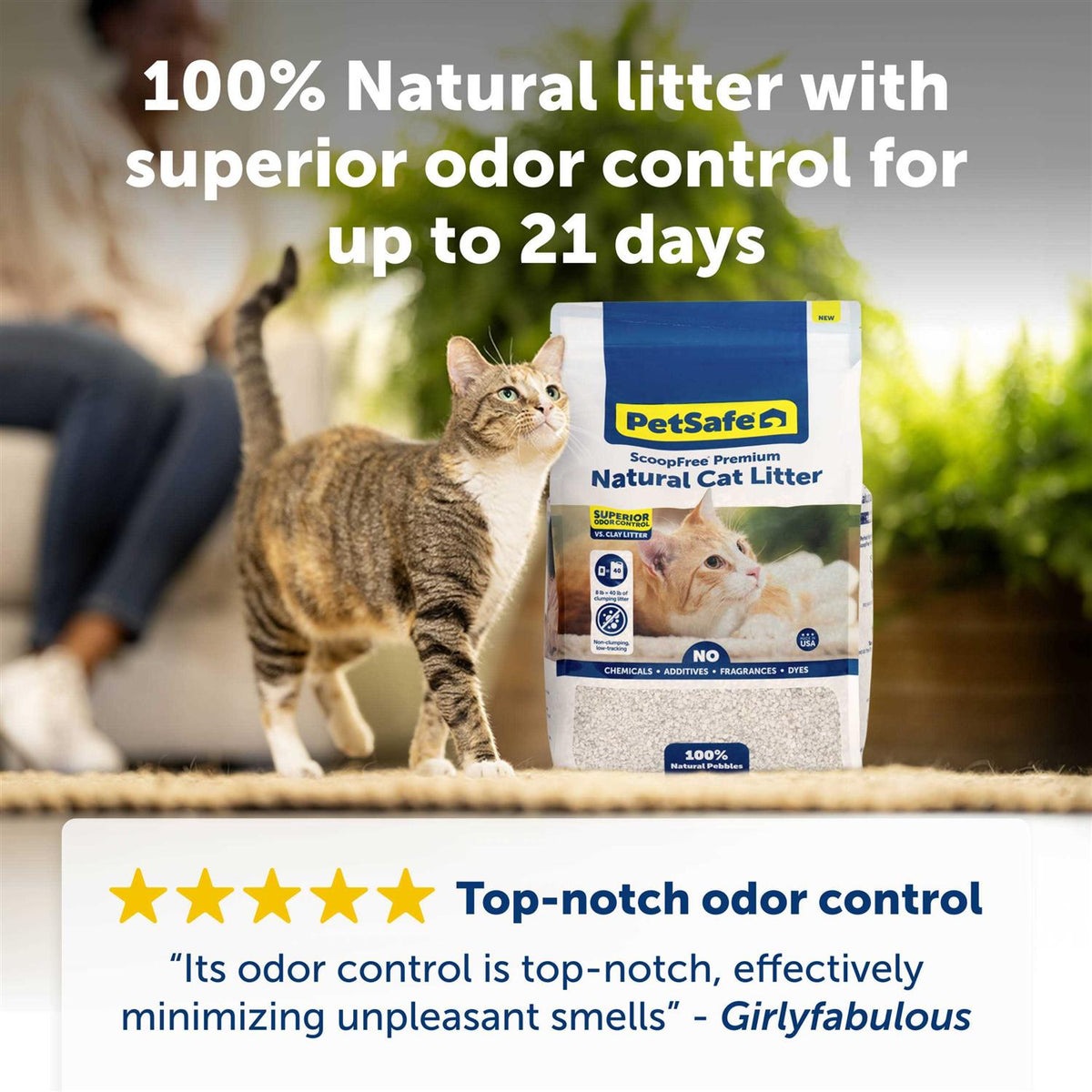 Natural Cat Litter 8 lb Bag I244535