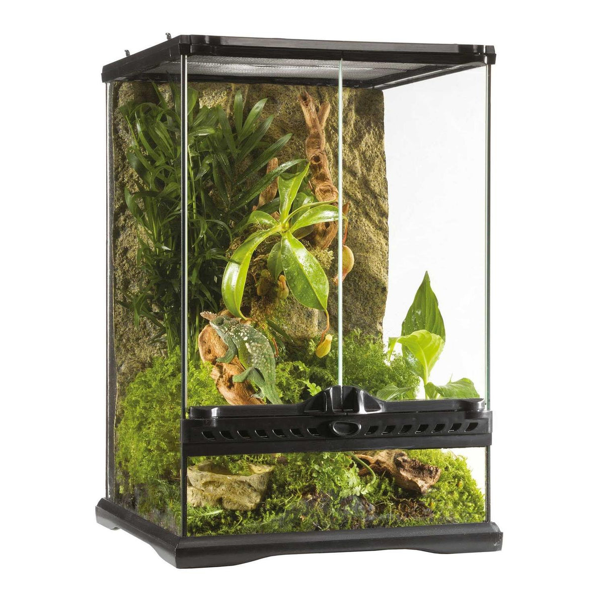 Glass Terrarium N2040