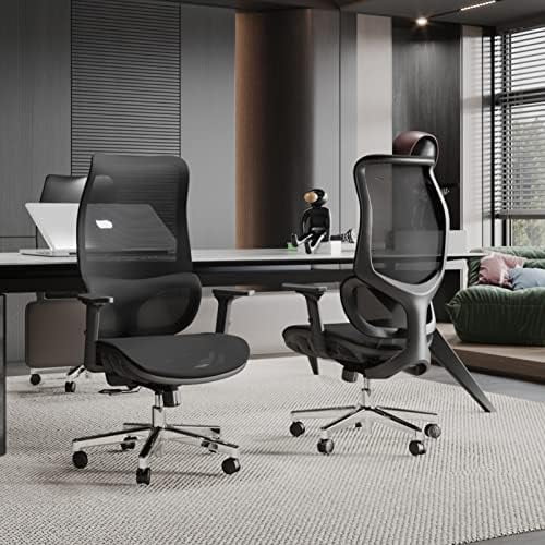 Big and Tall Ergonomic Office Chair 450 lbs with Lumbar Support R2209