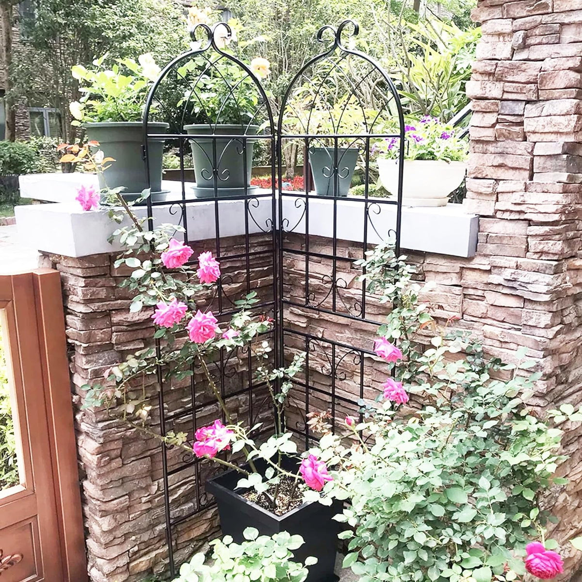 2 Pack Large Heavy Duty Rustproof Black Iron Plant Trellis M3992