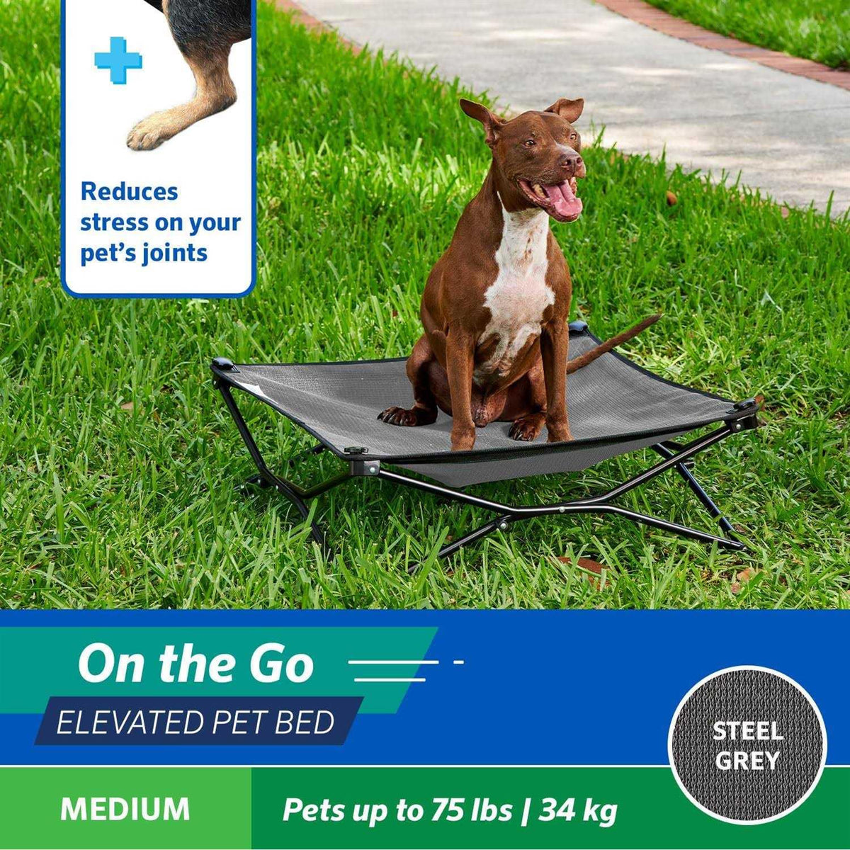 Elevated Pet Bed X2089