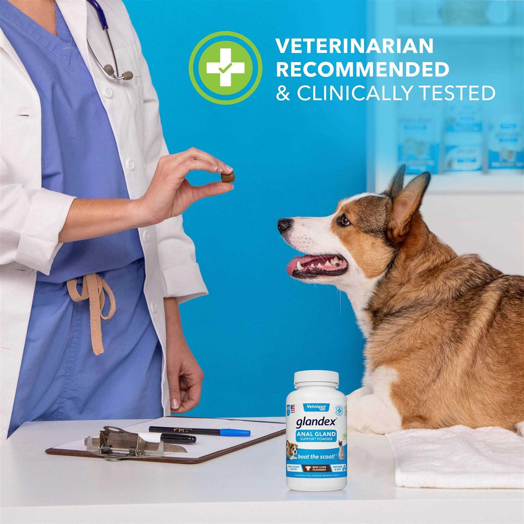 Anal Gland Support Powder for Dogs & Cats S611637