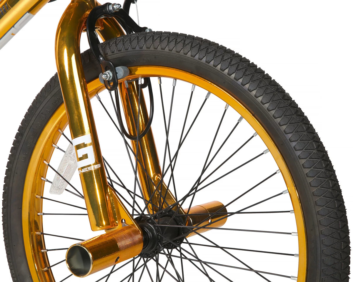 20-inch BMX Bike W807