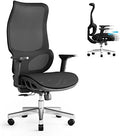 Big and Tall Ergonomic Office Chair 450 lbs with Lumbar Support R2209