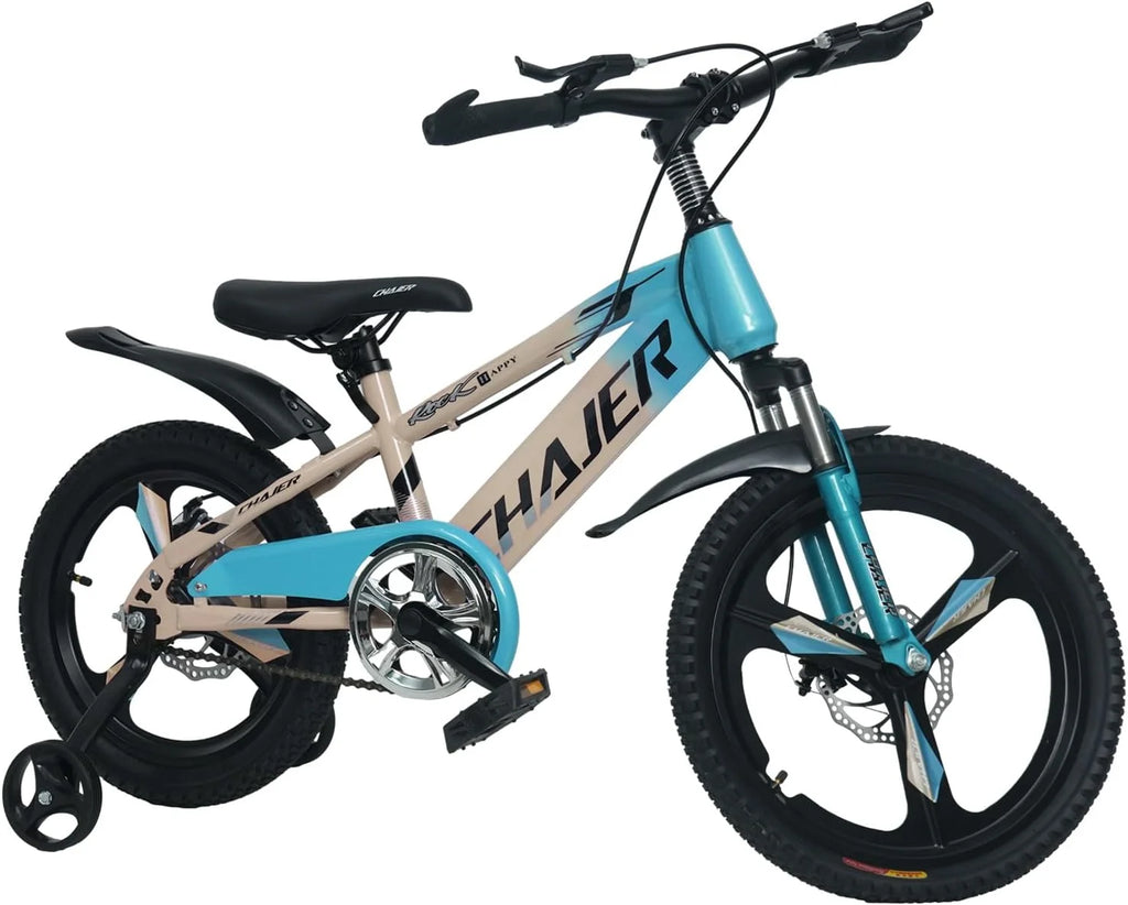 20 Kids Bike with Training Wheels, Handbrake, Kickstand U187961