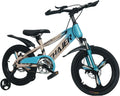 20 Kids Bike with Training Wheels, Handbrake, Kickstand U187961