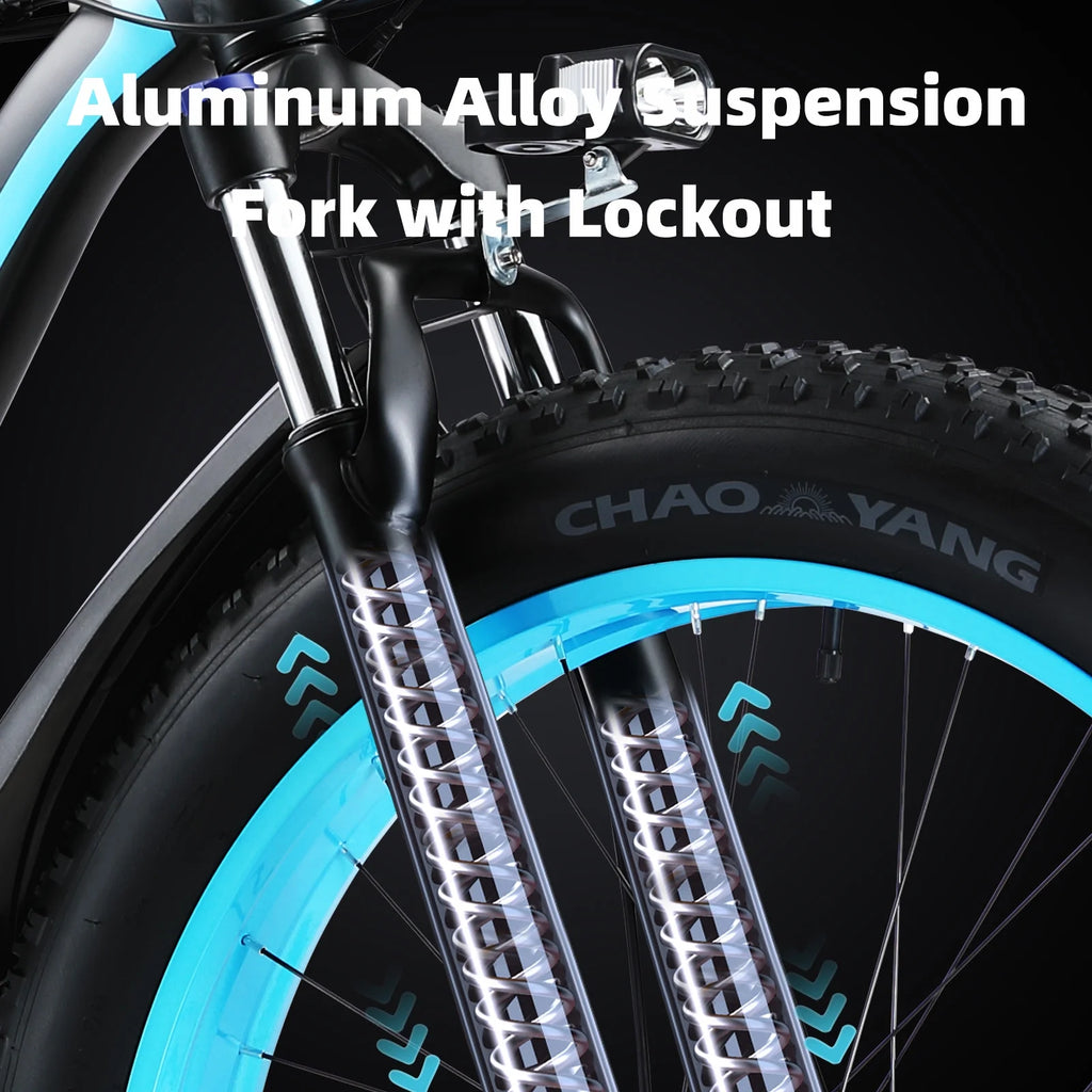750W 48V 13AH Fat Tire Electric Bike F9749