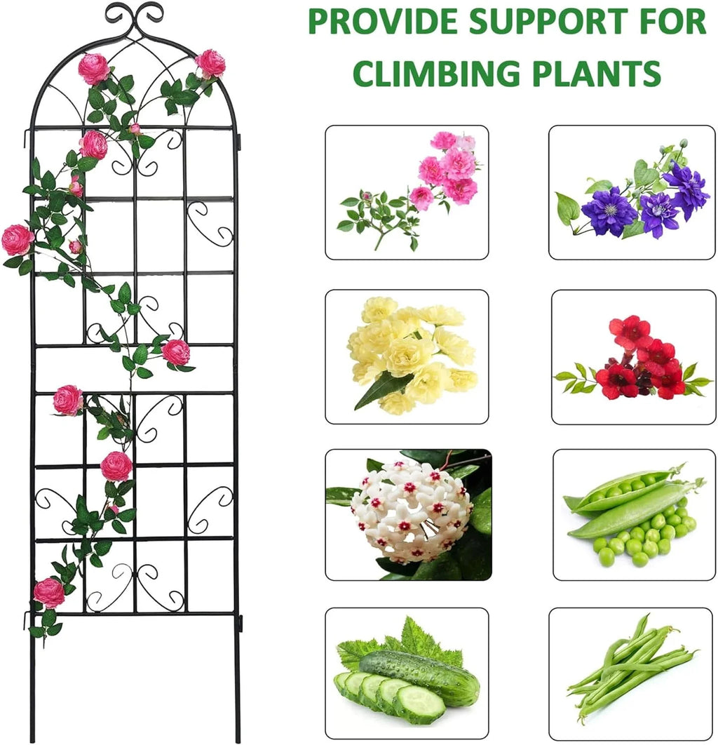 2 Pack Large Heavy Duty Rustproof Black Iron Plant Trellis M3992