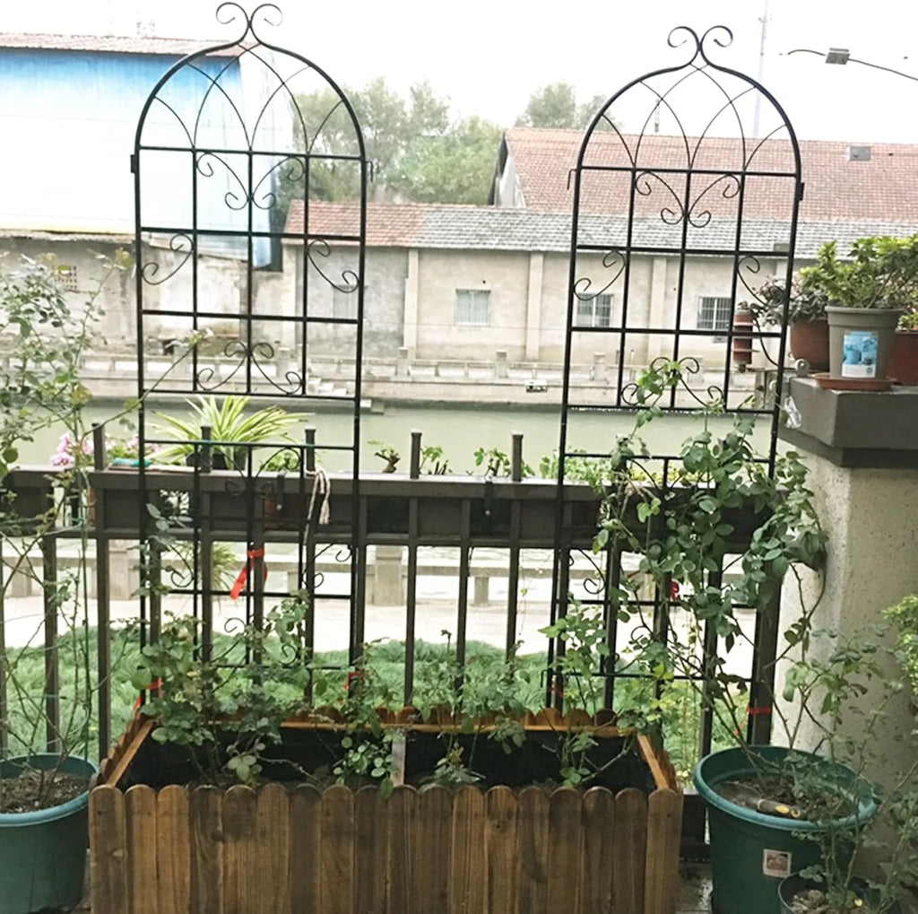 2 Pack Large Heavy Duty Rustproof Black Iron Plant Trellis M3992
