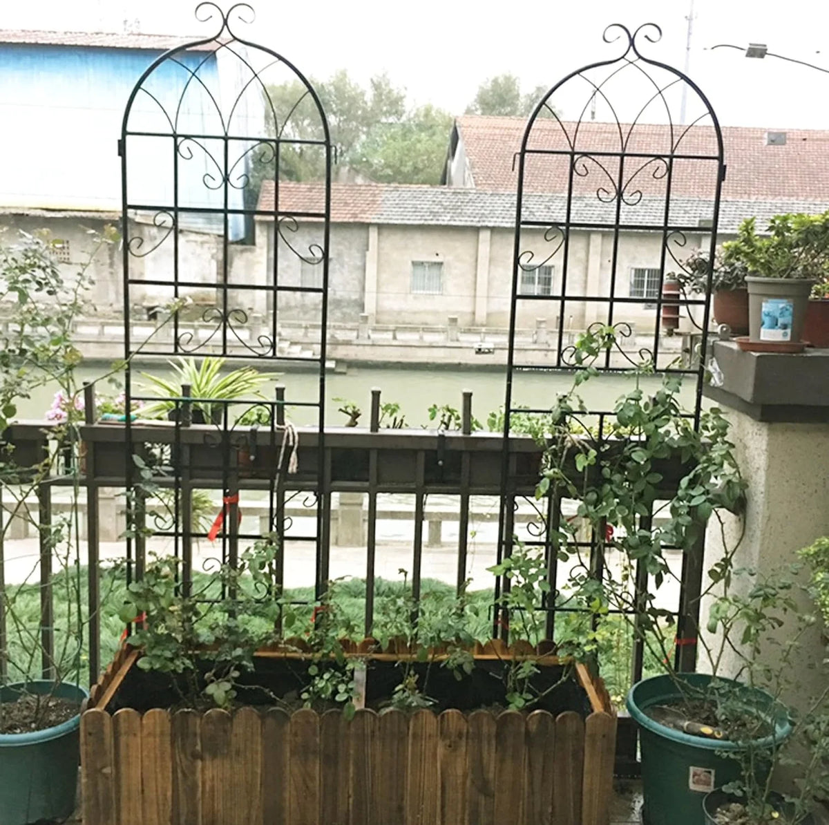 2 Pack Large Heavy Duty Rustproof Black Iron Plant Trellis M3992