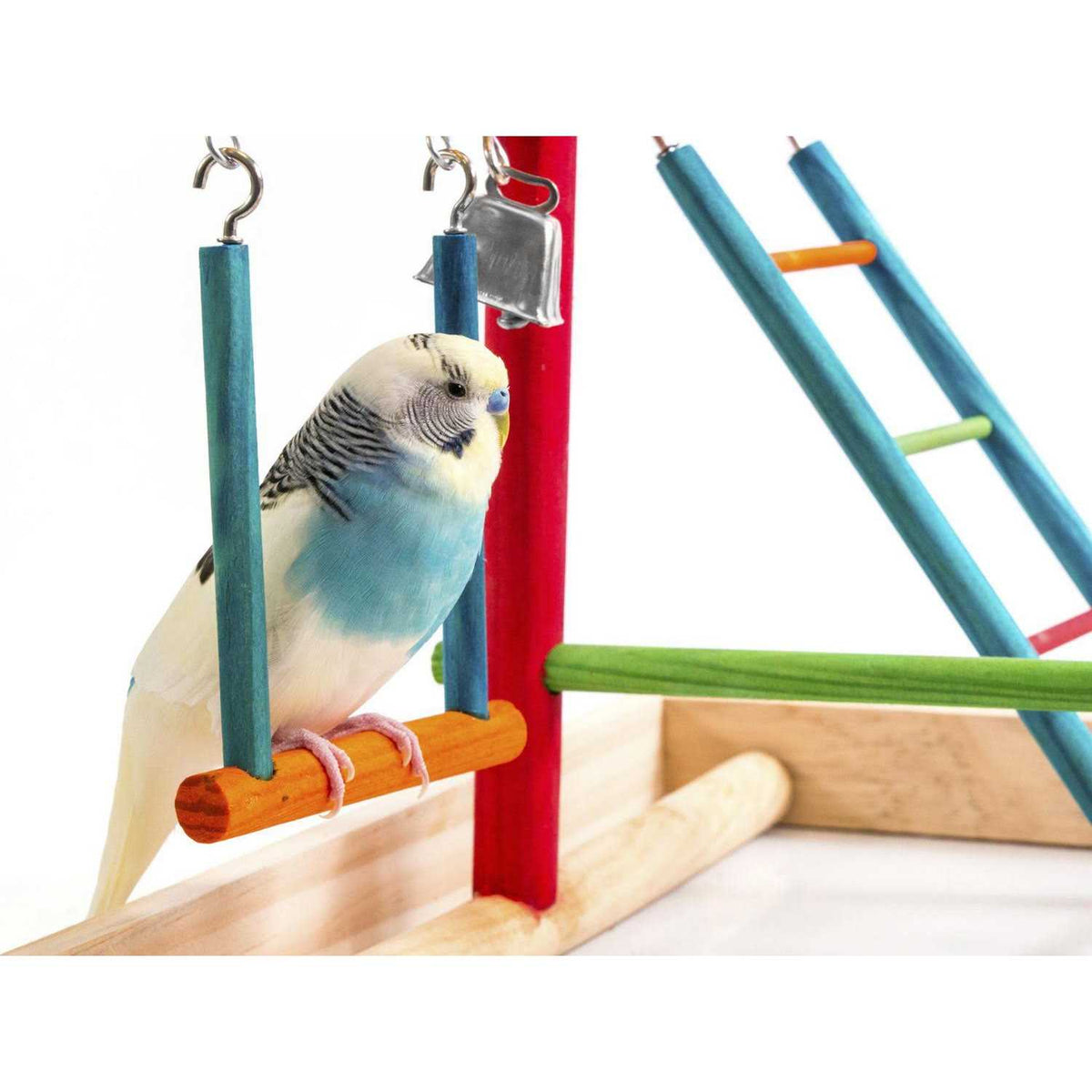 Bird Activity Center V2999