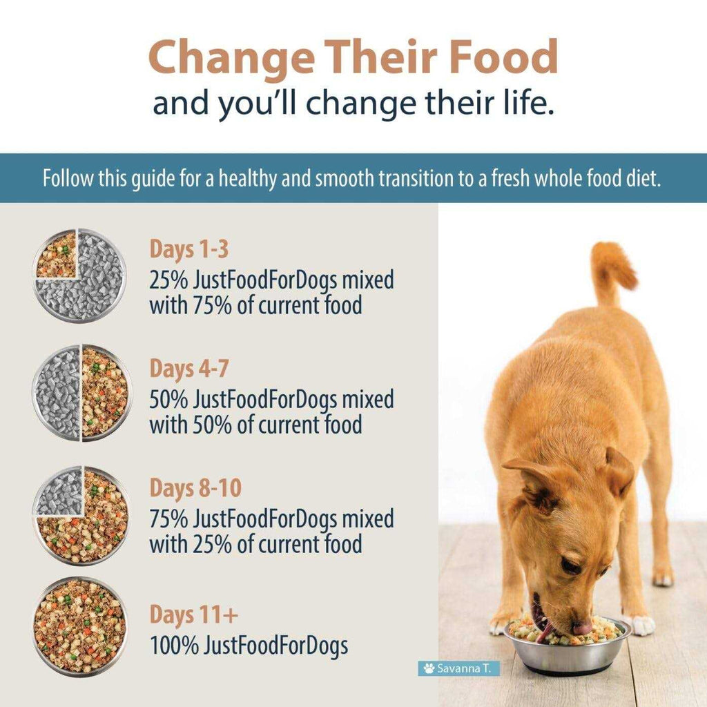 Fresh Frozen Dog Food Y56971