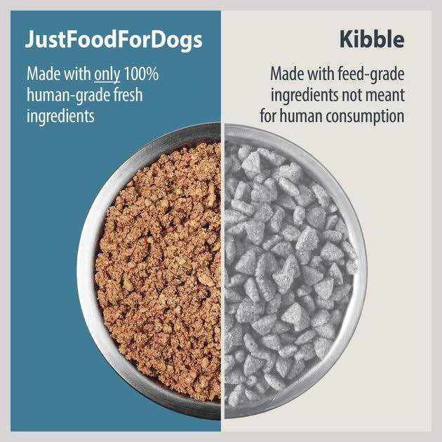 Fresh Frozen Dog Food Y56971