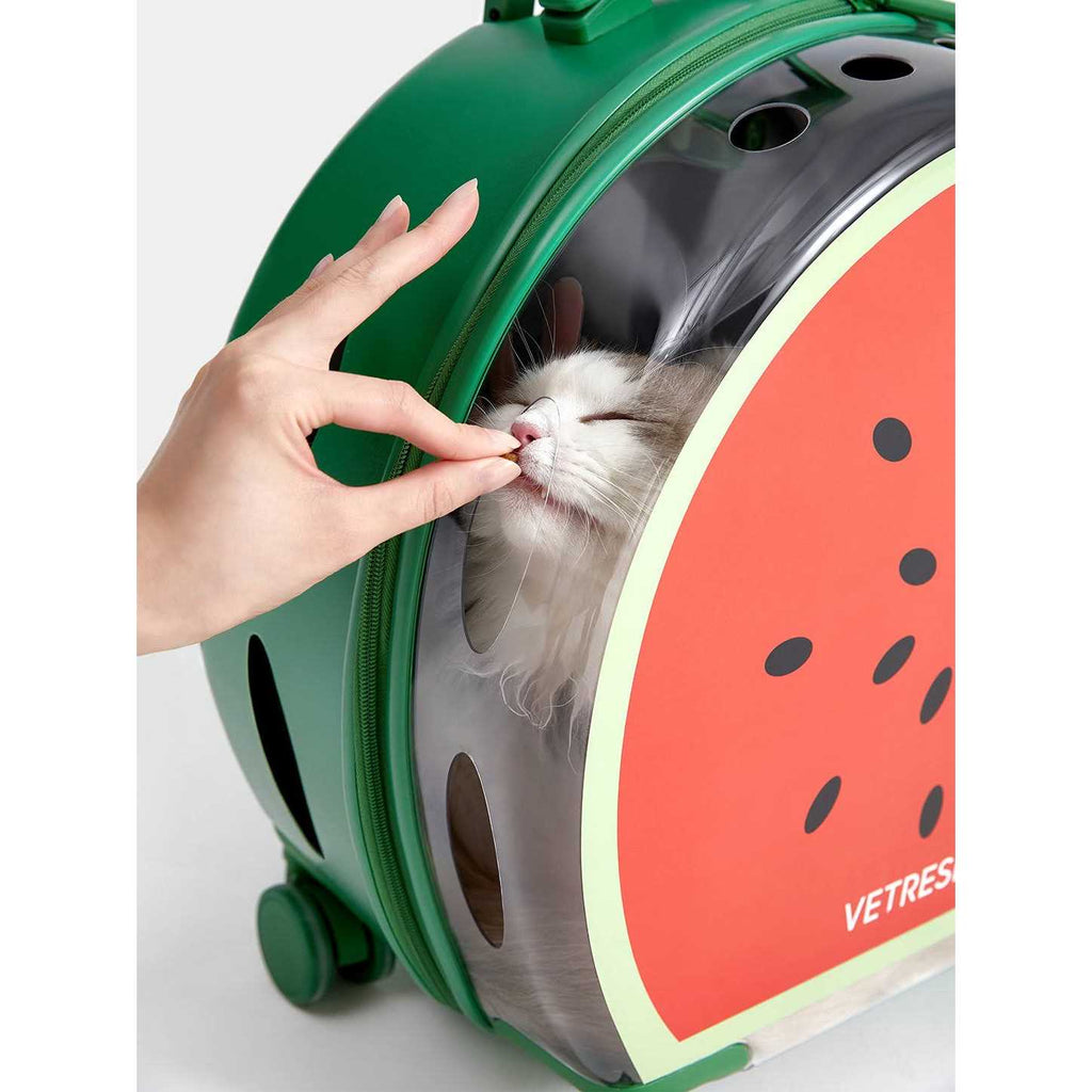 Dog & Cat Carrier V93098