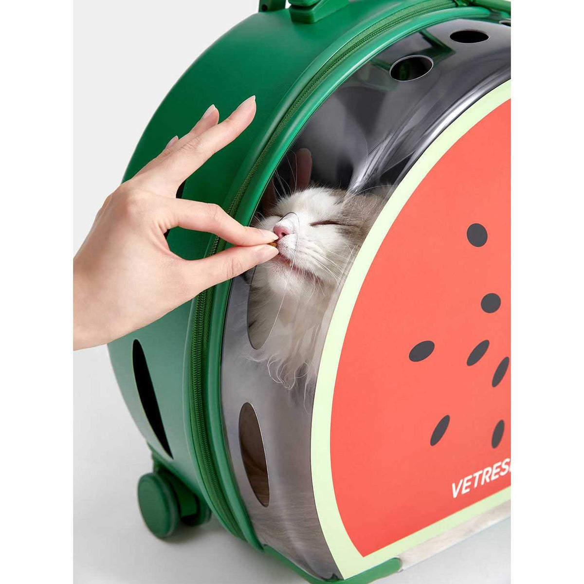 Dog & Cat Carrier V93098