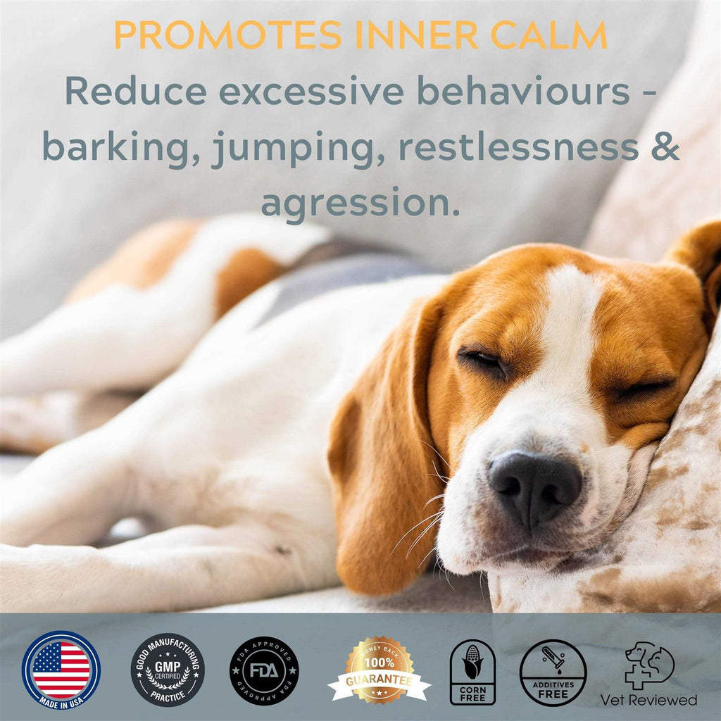 Calming Dog Chews V391