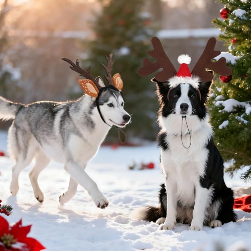 Dog Christmas Antlers Headbands Set P50354