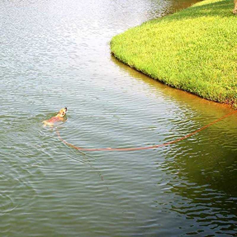Check Cord Dog Leash Long Lead Training Tracking Line 10ft 15ft 30ft 50ft B943627