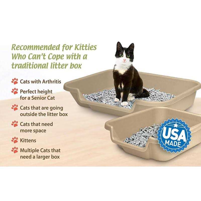 Senior Cat Litter Box R2526