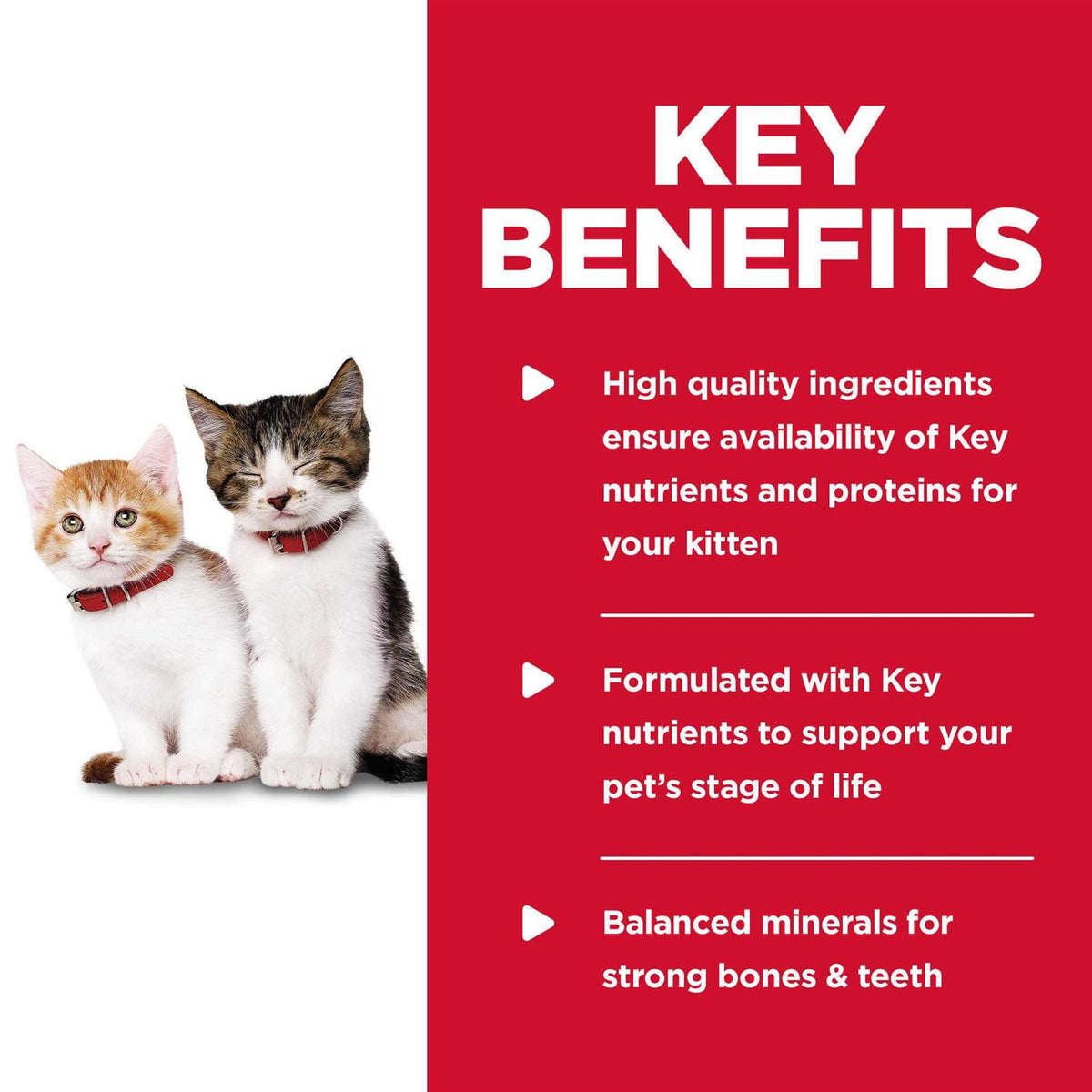 Kitten Wet Cat Food Q864321