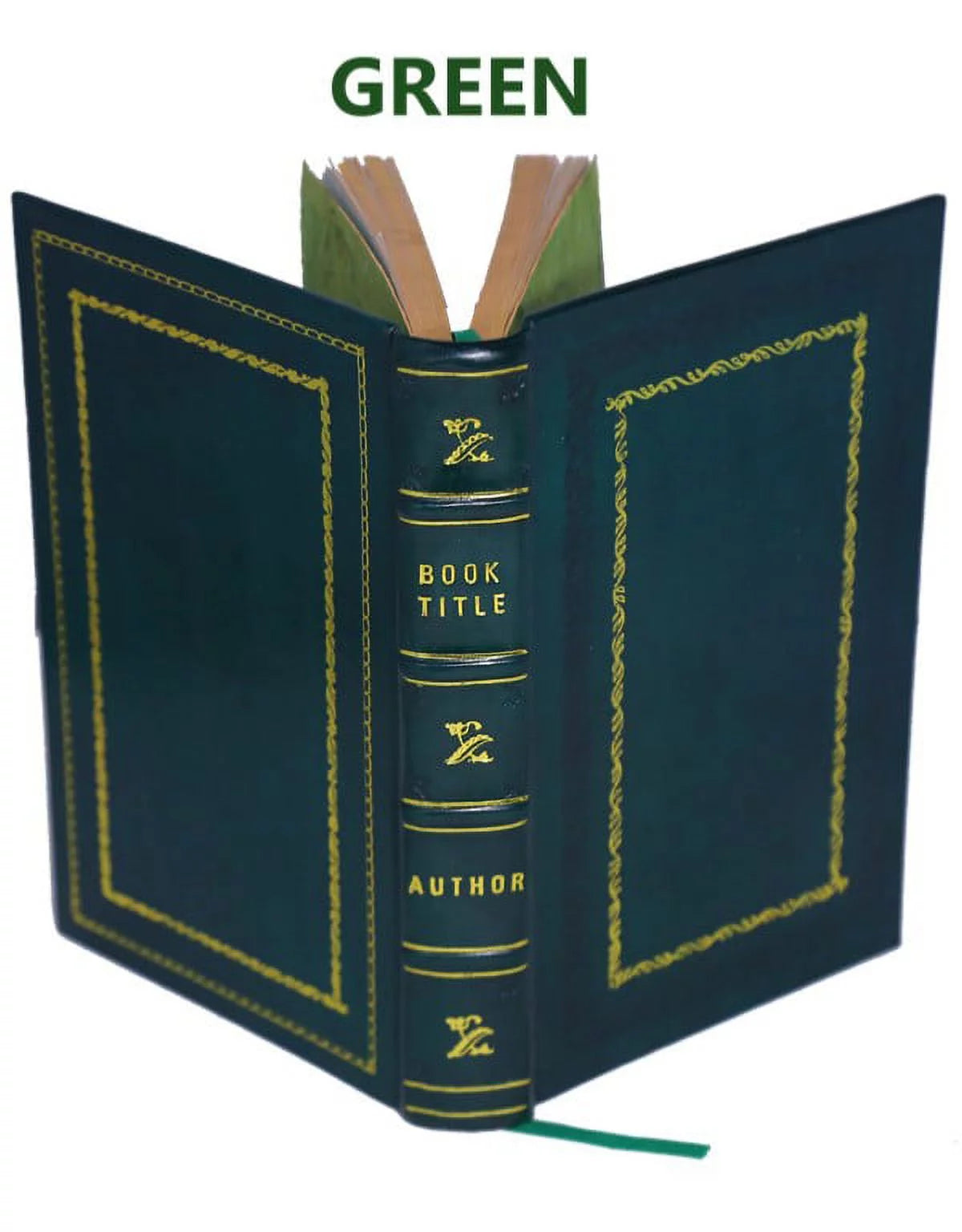 Genealogy and History of the Daniel Dod Family in America Leather Bound I7797