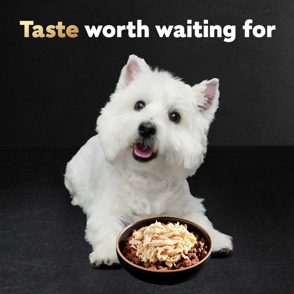 Wet Dog Food Bowls Y2151
