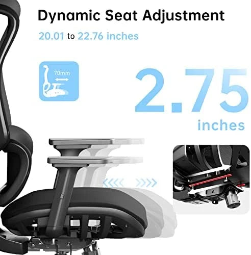 Big and Tall Ergonomic Office Chair 450 lbs with Lumbar Support R2209